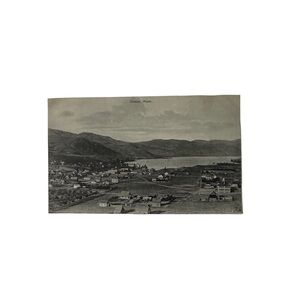 Vtg 1910s Postcard Lake Chelan Washington WA Ariel View Community Agriculture